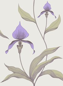 Cole & Son Orchide Tapet