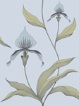Cole & Son Orchide Tapet