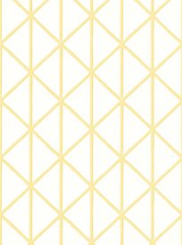 Thibaut Box Kite, Yellow