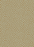 Cole & Son Senzo spot