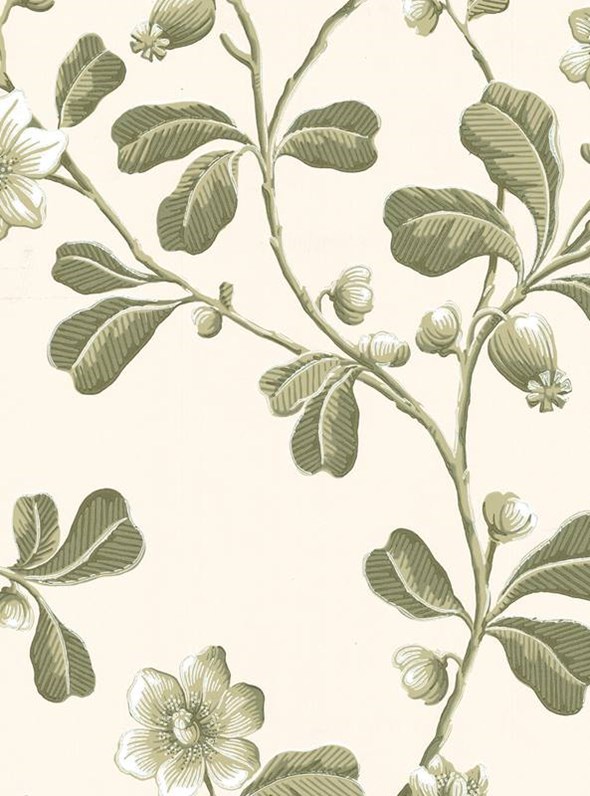 Little Greene Broadwick St. Tapet