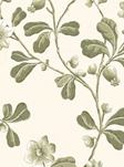 Little Greene Broadwick St.