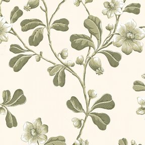 Little Greene Broadwick St. Tapet