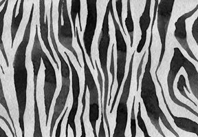 Rebel Walls Zebra stripes Graphite Tapet