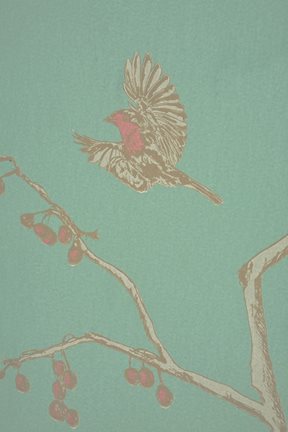 Barneby Gates The English Robin