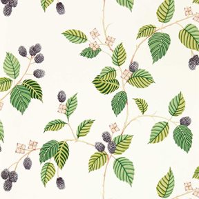 Sanderson Rubus, Blackberry Tapet