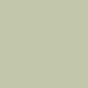 Farrow & Ball Vert De Terre 234