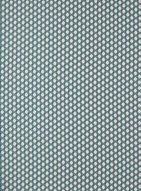 Manuel Canovas Saint-Tropez Paon