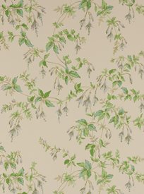 Colefax & Fowler Fuchsia, Grey Green Tapet