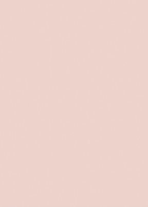 Little Greene Pink Slip 220 Färg