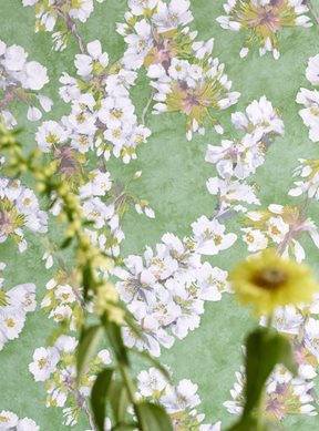 Designers Guild Fleur D Assam Emerald Tapet