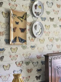 John Derian Butterfly Studies Tapet