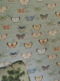 John Derian Butterfly Studies Tapet
