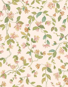 Cole & Son Flora Tapet