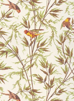 Little Greene Great Ormond St. Tapet