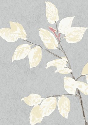 Lewis & Wood Beech, Dove Tapet