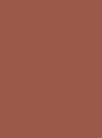 Farrow & Ball Singed Red No. G15 Färg