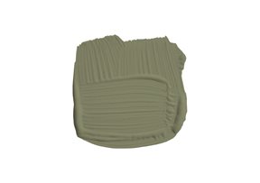 Farrow & Ball Sutcliffe Green No. 78 Färg