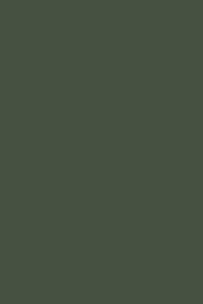 Farrow & Ball Minster Green No. 224 Färg