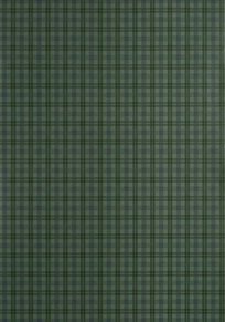 Thibaut Huntley Plaid Tapet