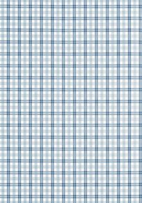 Thibaut Huntley Plaid Tapet