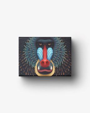 Puzzle - Mandrill Spel