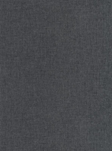 Casadeco Uni Mat, Gris Anthracite Tapet
