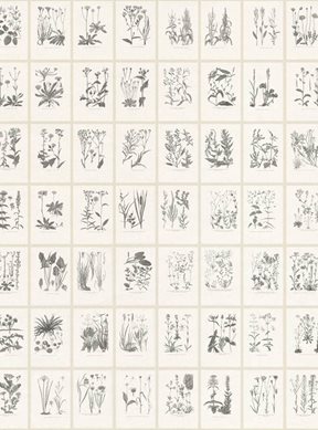 Sandberg Botanica, Graphite Tapet