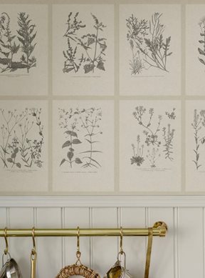 Sandberg Botanica, Graphite Tapet