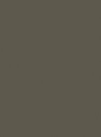 Farrow & Ball Reduced Green No.313 Färg
