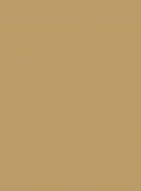 Farrow & Ball Duster No.319 Färg