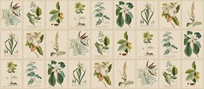 Sandberg Flora, Green Tapet