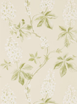 Sanderson Chestnut Tree Tapet