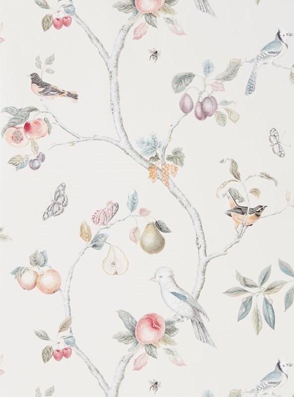 Sanderson Fruit Aviary Tapet