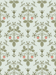 Cole & Son Strawberry Tapet