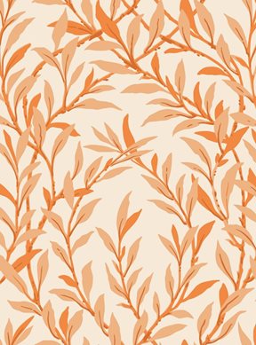 Cole & Son Willow Branch Tapet