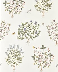 Sanderson Thyme Walk Tapet