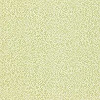 William Morris & Co Standen, Fennel Tapet