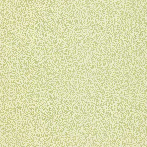 William Morris & Co Standen, Fennel Tapet