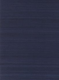 Ralph Lauren Britton Silk Midnight Tapet