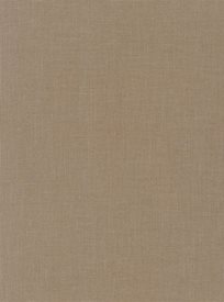 Ralph Lauren Jute Weave Putty Tapet