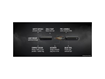 RYDER SlugPlug kit, tool and envelope with 2 sizes slugs