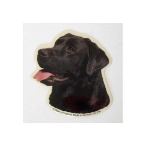 H Dekal liten labrador retr, svart huv 4-p