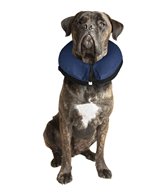H Vård Inflatable collar stl. 5, XL 55-70cm