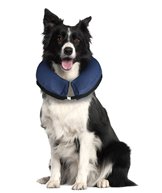 H Vård Inflatable collar stl. 3, M 30-40cm