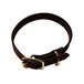 H Halsband läder 22mm 55cm svart