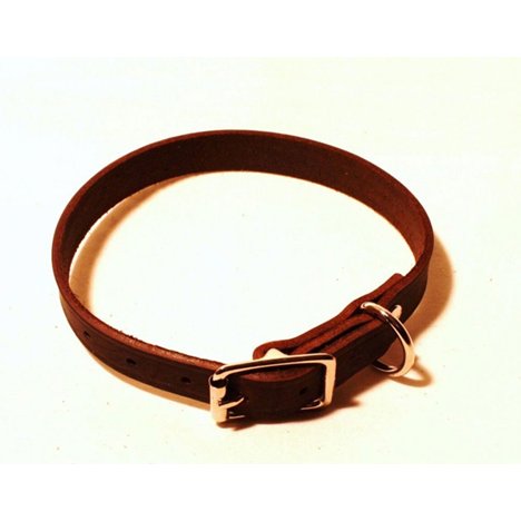 H Halsband läder infettad 12mm 40cm