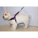 H Sele småhund fleece rosa XS