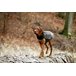 H Täcke Touchdog outdoor 56x78cm röd m förvaringsficka