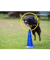 H Bruks hoppring agility 60cm
